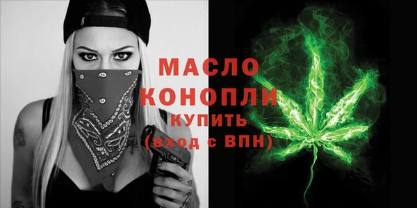 тгк Каменка