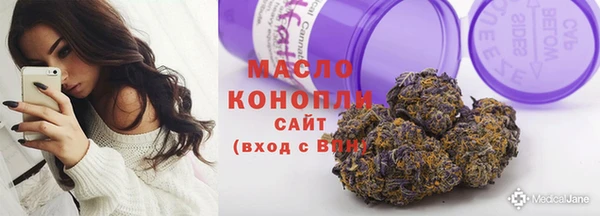 тгк Каменка