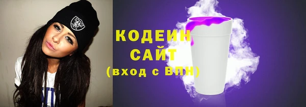 тгк Каменка