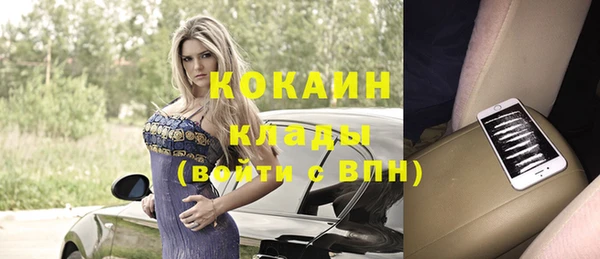 тгк Каменка