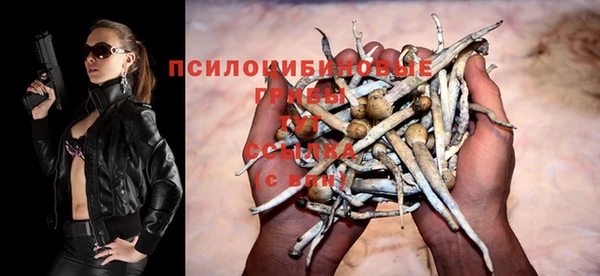 МДПВ Каменск-Шахтинский