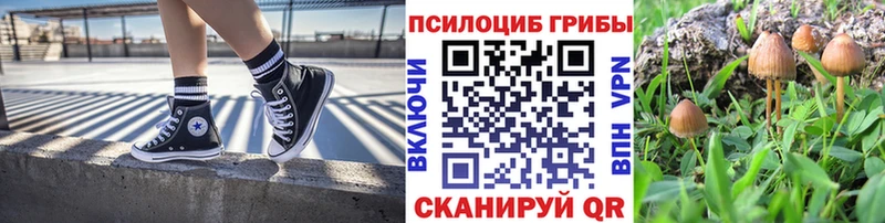 ссылка на мегу   Мантурово  Псилоцибиновые грибы Cubensis 